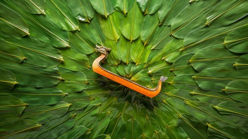 中国传统节日端午节 (© timekeep/Shutterstock)