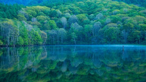 镜池，长野，日本 (© Shoji Fujita/Getty Images)